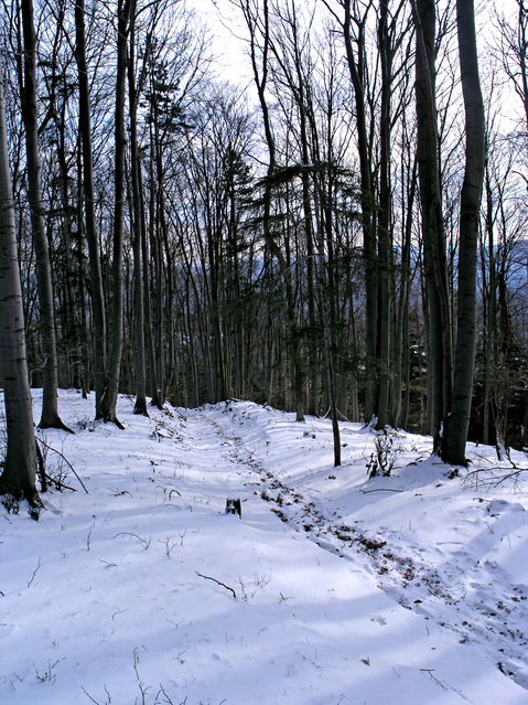 The hiking path we should have used