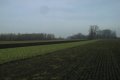 Visit #1: [06-Jan-01]