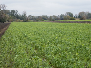 #1: The Confluence from 15 m distance