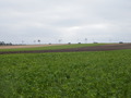 #9: View to the road with heavy traffic and wind turbines