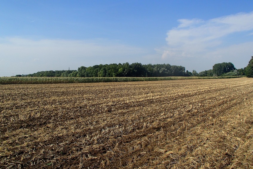 View to the north / Вид на север