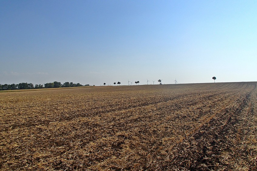 View to the south / Вид на юг