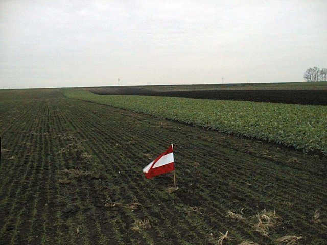 The confluence with austrian flag (looking west)