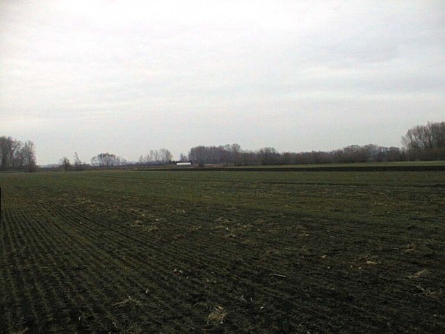 Looking east from the confluence