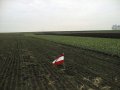 #2: The confluence with austrian flag (looking west)