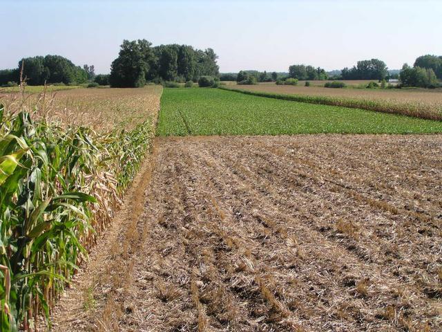 Confluence from the road / Confluence von der Strasse