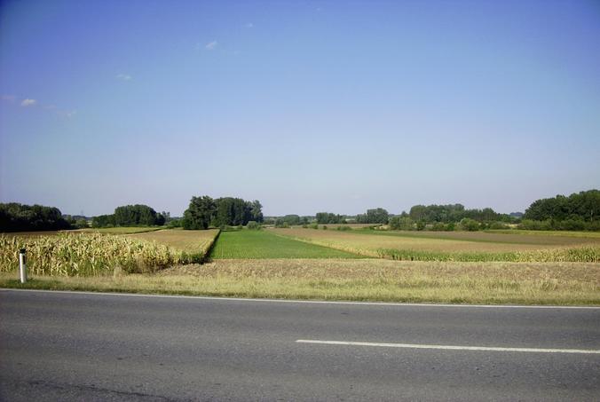 150 m zum Punkt / view from the street