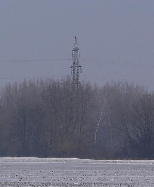 Powerline as seen from the confluence