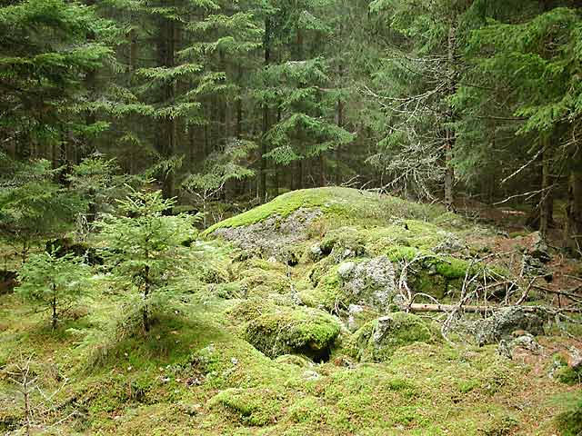 Granite stones from the area