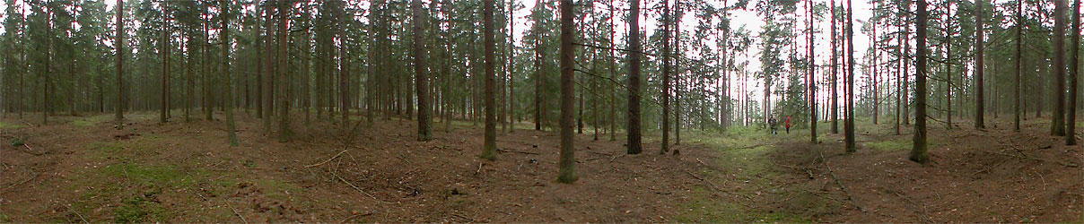 Panoramic photo from the confluence