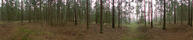#6: Panoramic photo from the confluence