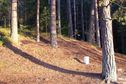 #8: View from Czech Republic to Austria