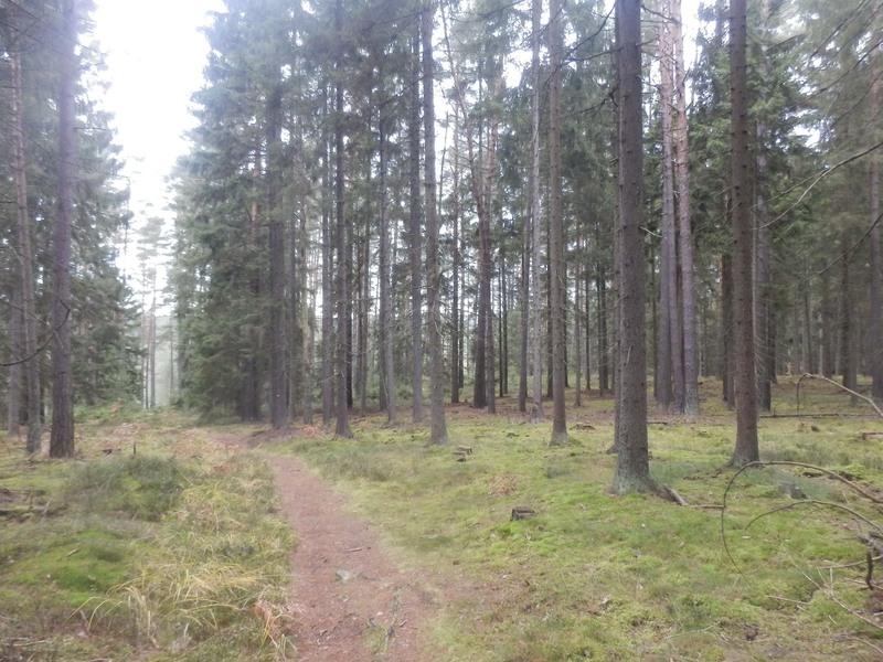 The Confluence from 30 m distance