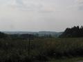 #3: Distance view of a clearing area about 3KM east of Confluence