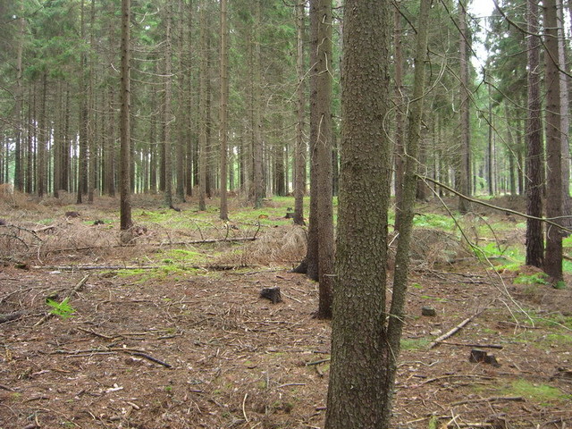 View south / Blick nach Süden