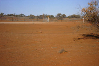 #1: View to the south west of the border gate that excludes wild dogs.