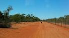 #9: Emu wanting to escape Queensland