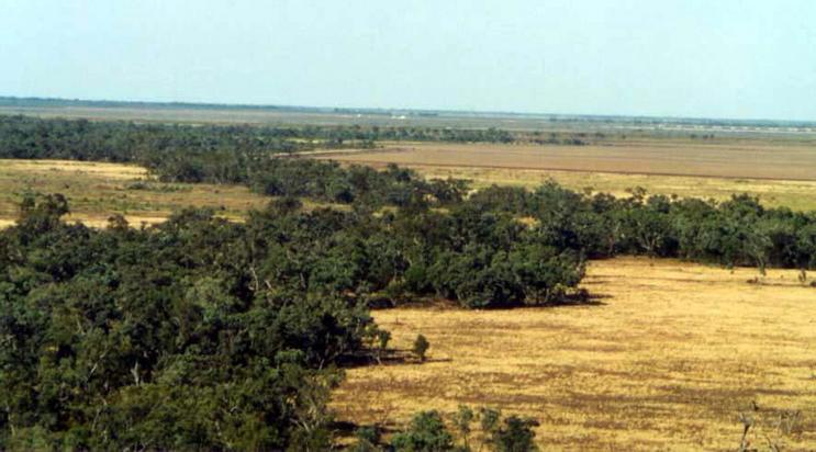 Balonne Minor River winding through Dirranbandi district.