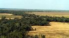 #5: Balonne Minor River winding through Dirranbandi district.