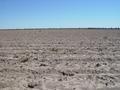 #3: Looking north 29°S 149°E