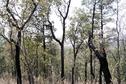 #4: View back down the hill towards Texas, Qld