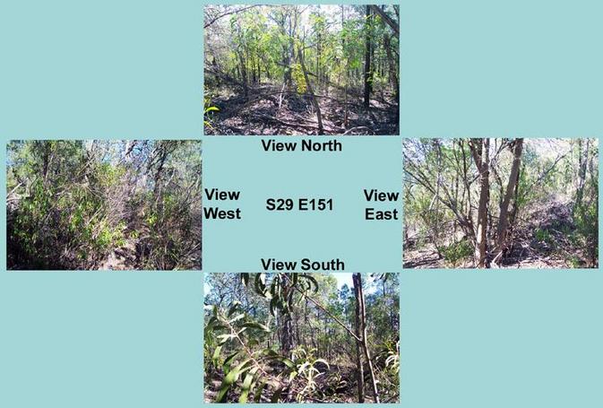 Views north, east, west and south from the 200m-out point