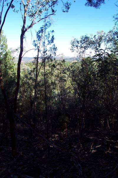 View west near the confluence - a rare horizon glimpse