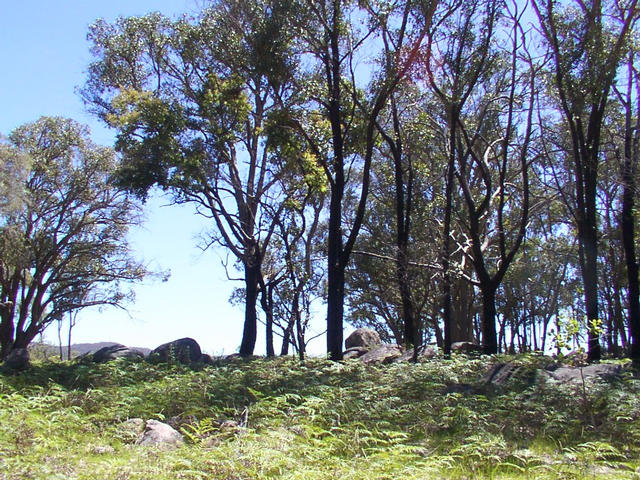 View from the confluence