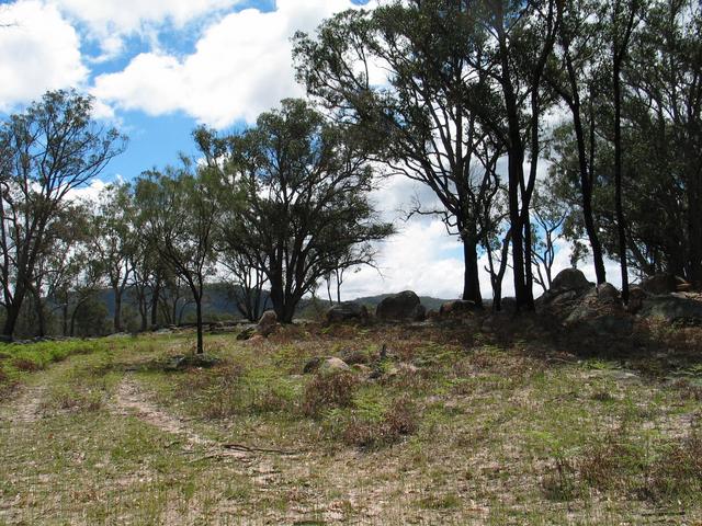 The view north from the confluence