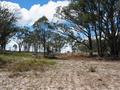 #2: The view east from the confluence