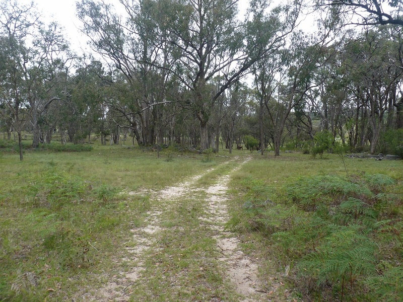 The confluence from 20m