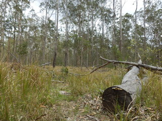 #1: The Confluence from 25 m distance