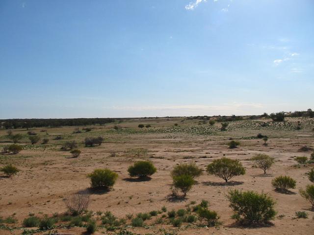 Looking west into South Australia