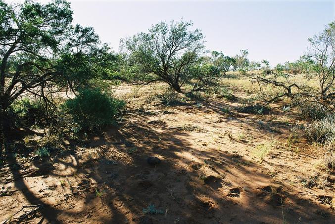 General view of confluence