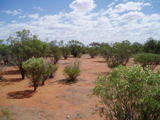 #1: General view of confluence from the southeast