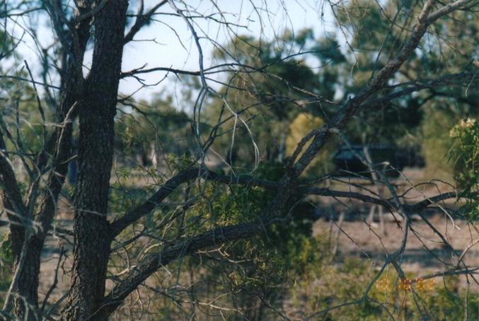 Looking north towards the Patrol parked at the side of the highway.