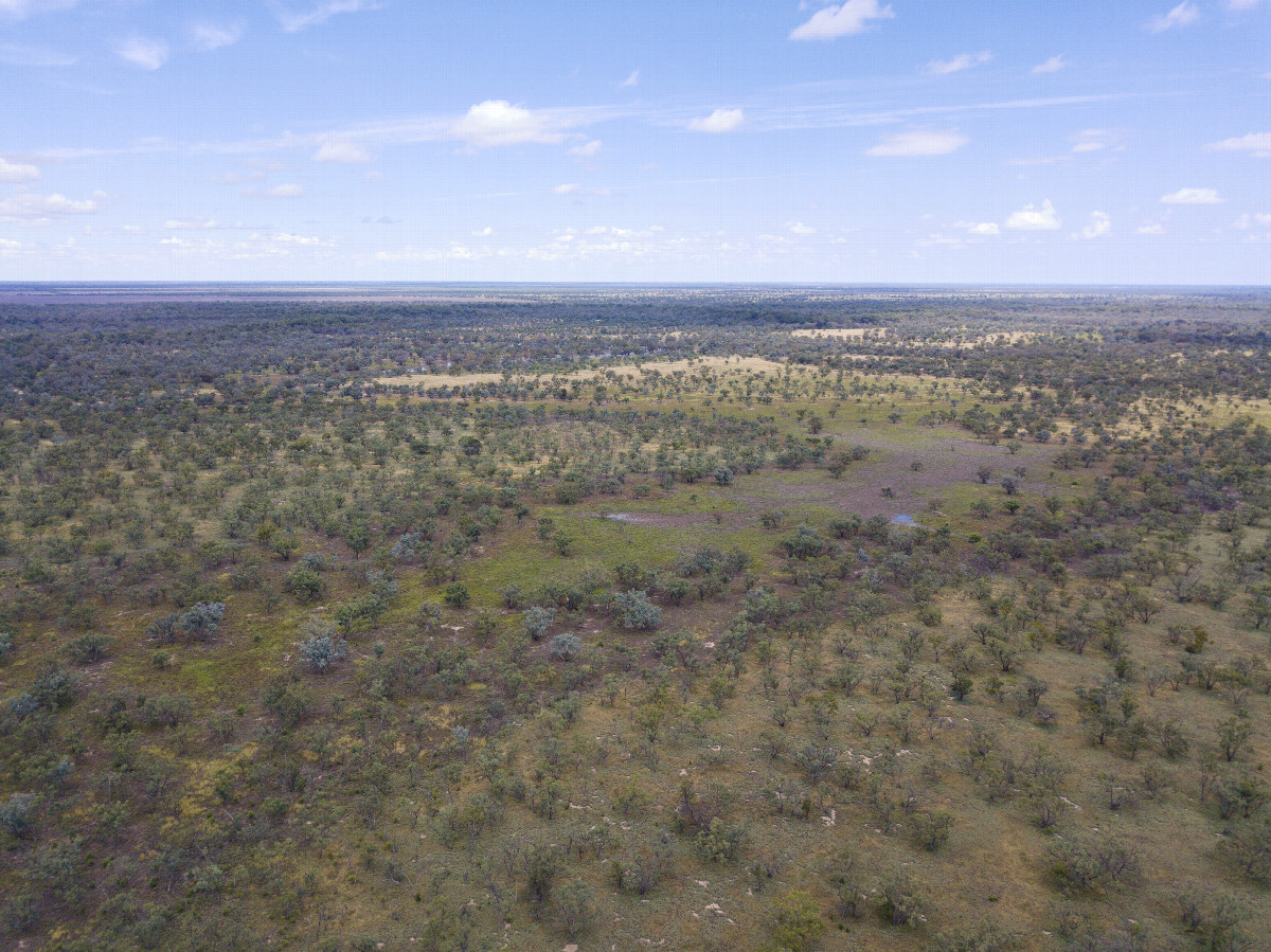 View South, from 120m above the point