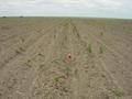 #5: The 30°S 149°E Confluence