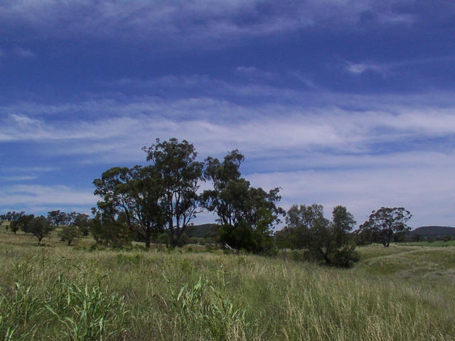 View from the confluence