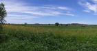 #6: Panorama of the field I had to cross