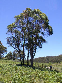 #1: View from the confluence