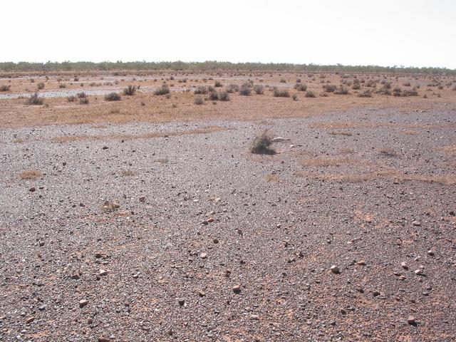 Looking East
