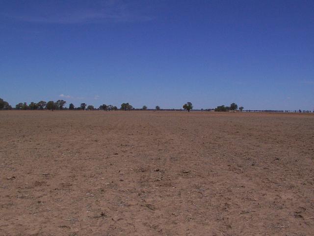 Main view
