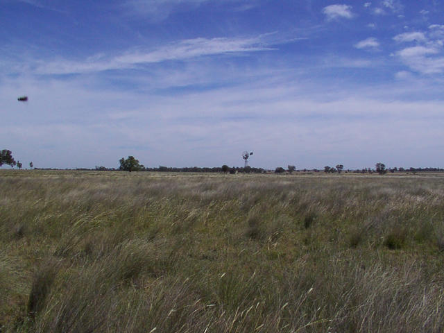 View from the confluence