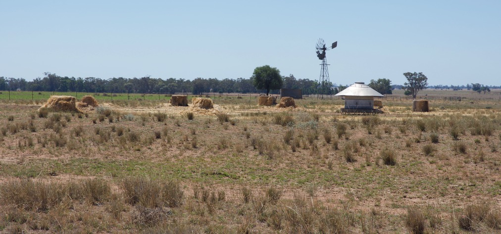 A close-up look at the cattle feeding station just to the north of the point