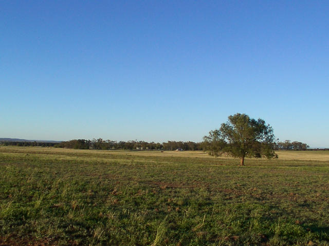 View from the confluence