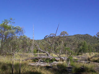 #1: View from the confluence