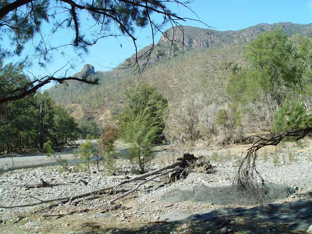 A shot of the confluence(!) of the Aspley River and Rowleys Creek looking south-east. Note that Rowleys Creek is completely dry and the Aspley River is barely flowing.