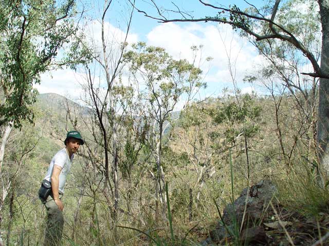A shot of the author on the confluence spot, trying not to fall down the ravine!