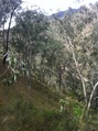 #3: View facing East of the confluence point